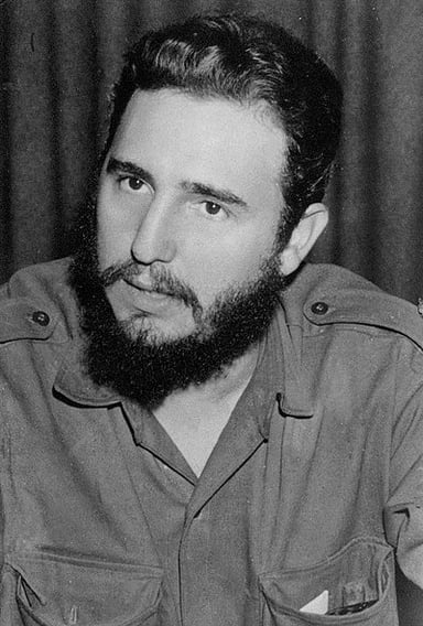 In 2009 Fidel Castro received the [url class="tippy_vc" href="#5571096"]Order Of The Quetzal[/url] and [url class="tippy_vc" href="#2183478"]Order Of The Companions Of O. R. Tambo[/url] awards. Which other award did Fidel Castro receive in 2009?