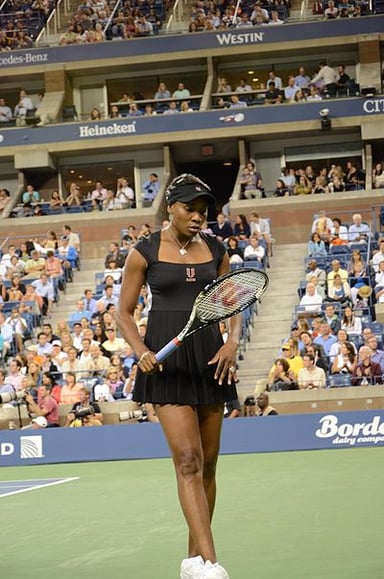 What are Venus Williams's most famous occupations?