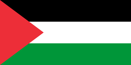 Palestine national football team