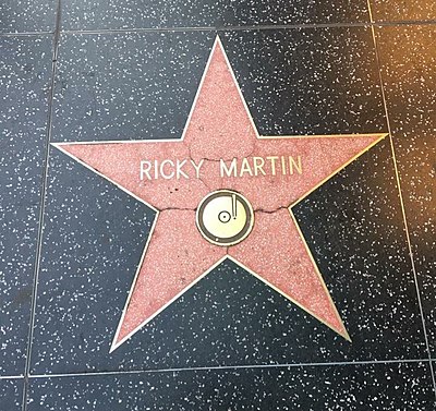 What are Ricky Martin's most famous occupations?