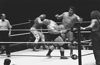 What year was André the Giant inducted into the WWF Hall of Fame?